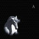 АКВАРИУМ -"Лошадь Белая" CD