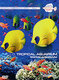 КРАСОТЫ ПОДВОДНОГО МИРА. Vol. 4: Тропик-аквариум DVD
