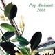 СБОРНИК "Pop Ambient 2008" CD